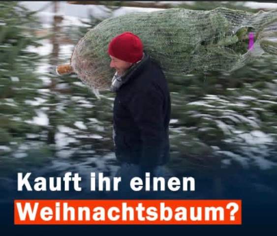 Bild zum Beitrag